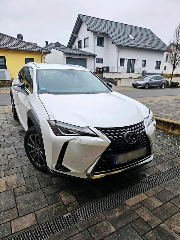 Weiß Gebraucht 2020 Lexus UX 250h SUV | 20.600 € (Guter Preis) - Bild 1/4