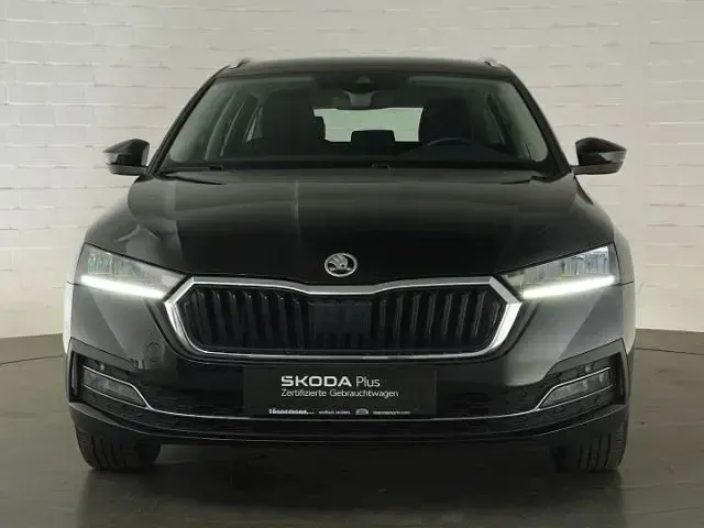 Gebraucht Skoda Octavia Style 150 PS (110 kW) 2023 Black magic Kombi