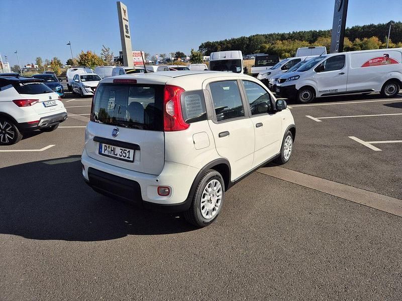 Gebraucht Fiat Panda 69 PS (50 kW) 2024 Weiß Kleinwagen