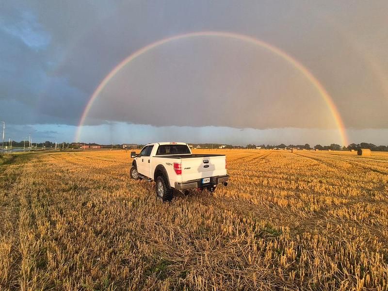 Weiß Gebraucht 2012 Ford F-150 Abholung | 16.000 € (Guter Preis) - Bild 1/4