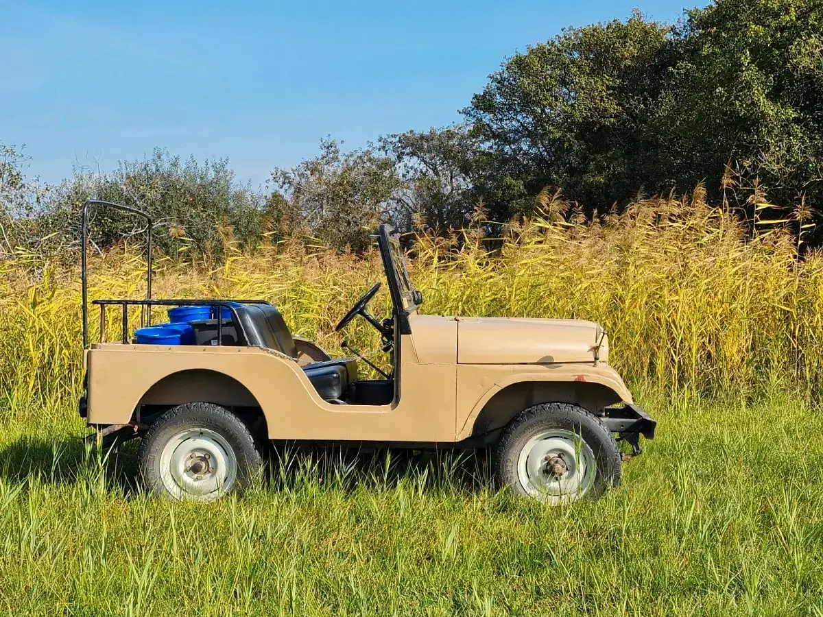 Gebraucht Jeep CJ 65 PS (47 kW) 1968 Gelb SUV