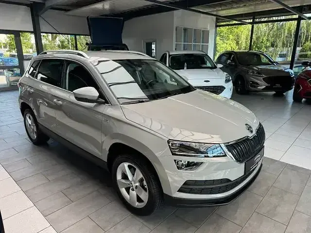Gebraucht Skoda Karoq Ambition 116 PS (85 kW) 2019 Grau SUV