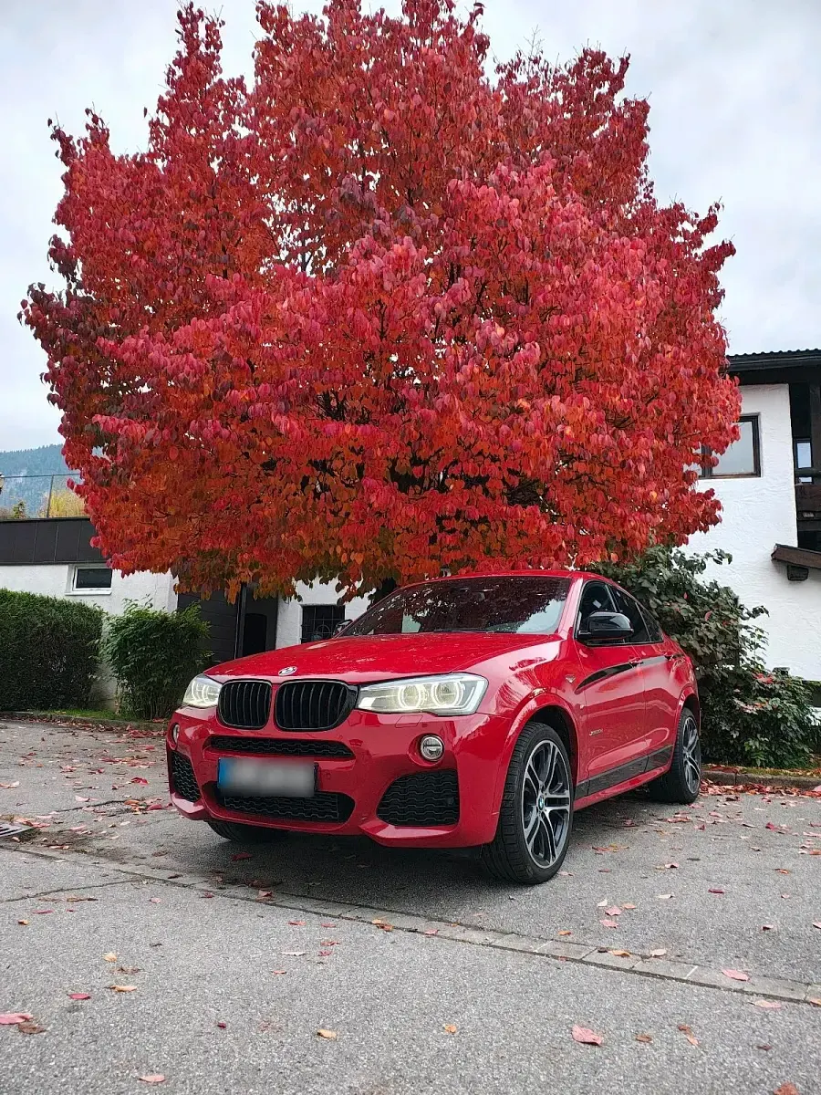 Gebraucht BMW X4 M Sport 258 PS (189 kW) 2015 Rot SUV