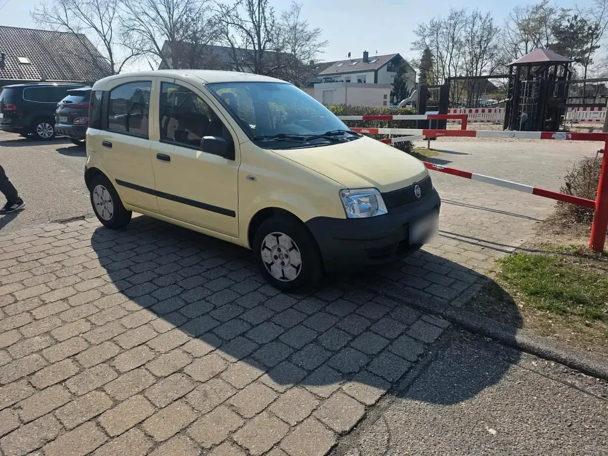 Brugt Fiat Panda 60 HK (44 kW) 2009 Gul Hatchback