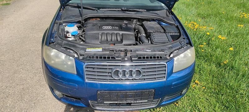 Usata Audi A3 102 CV (75 kW) 2004 Blu Utilitaria