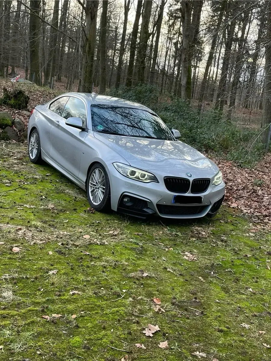 Gebraucht BMW 218 M Sport 150 PS (110 kW) 2016 Silber Coupé