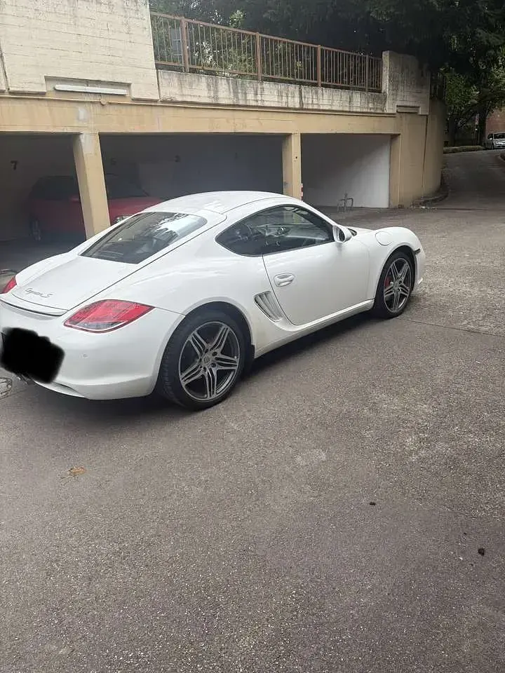 Gebraucht Porsche Cayman S 340 PS (250 kW) 2010 Weiß Coupé