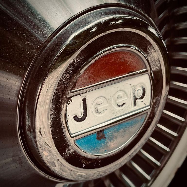 Gebraucht Jeep Wagoneer 200 PS (147 kW) 1980 Braun SUV