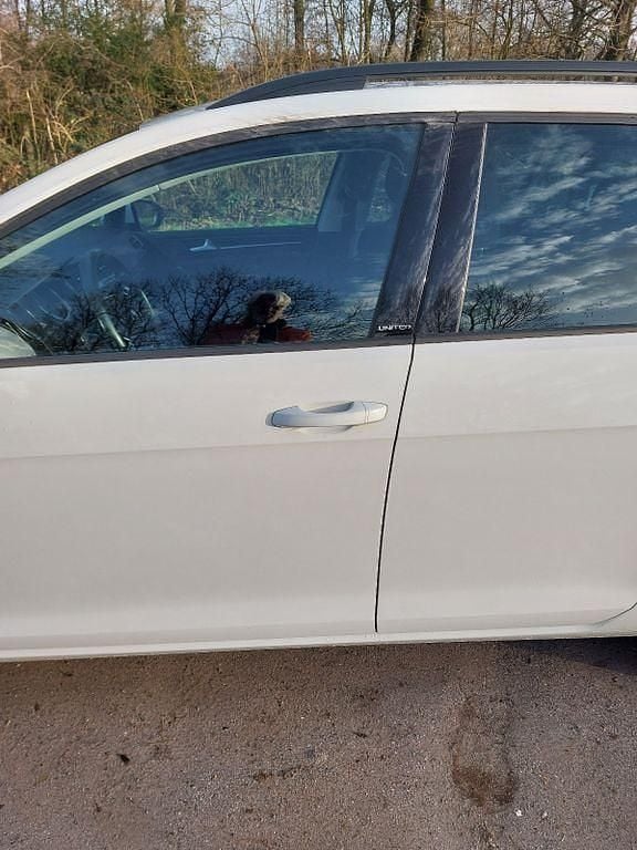 Gebraucht VW Golf VIII United 133 PS (97 kW) 2020 Weiß Kombi