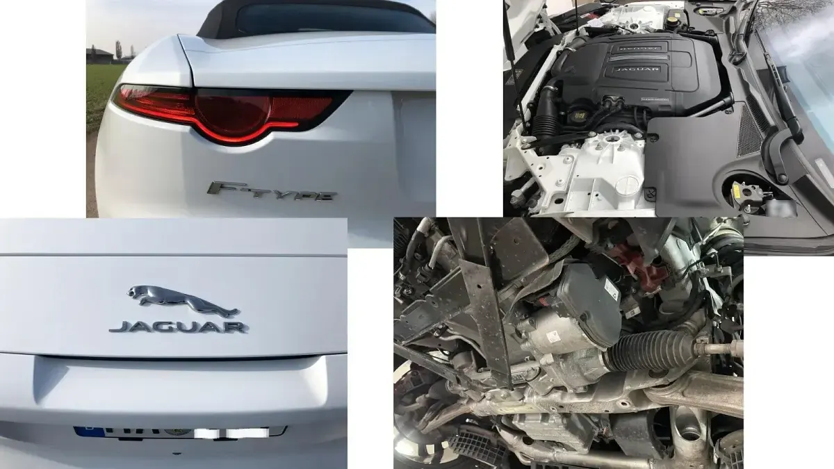 Gebraucht Jaguar F-Type 340 PS (250 kW) 2019 Weiß Cabrio