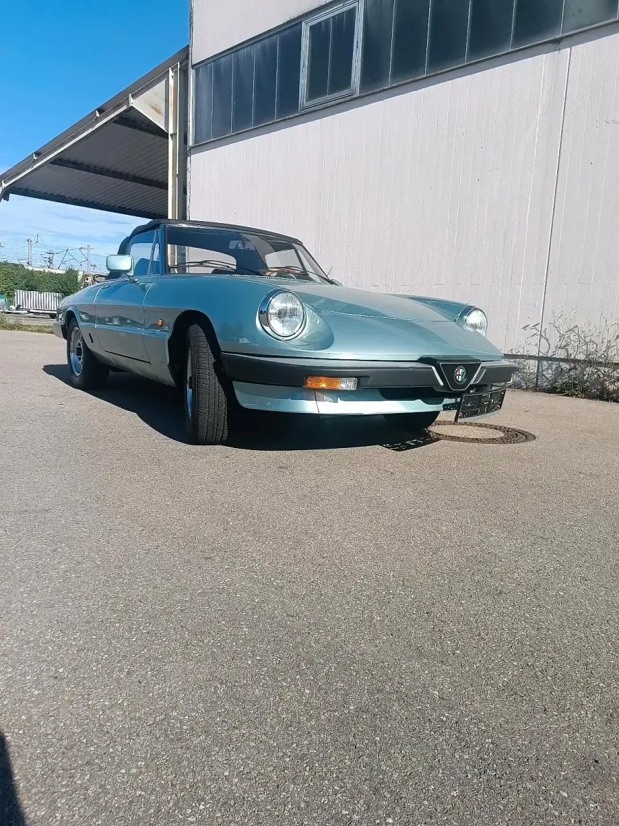 Gebraucht Alfa Romeo Spider 126 PS (92 kW) 1983 Cabrio