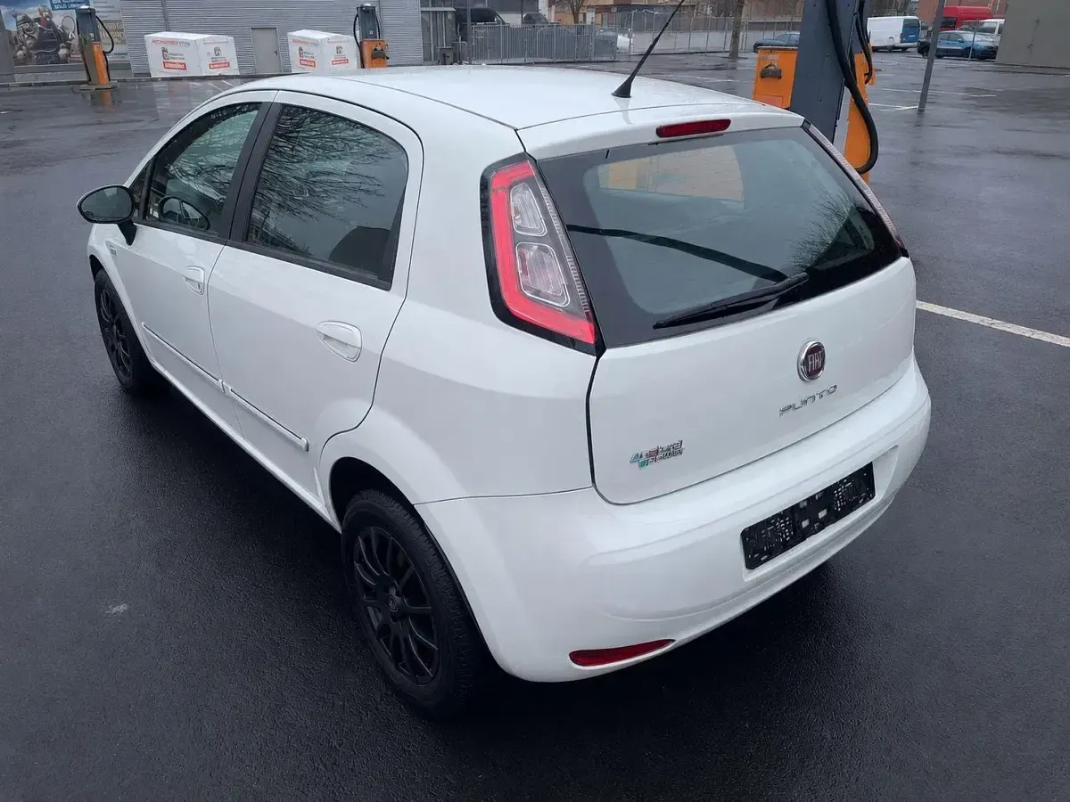 Gebraucht Fiat Grande Punto 77 PS (56 kW) 2012 Weiß Kleinwagen