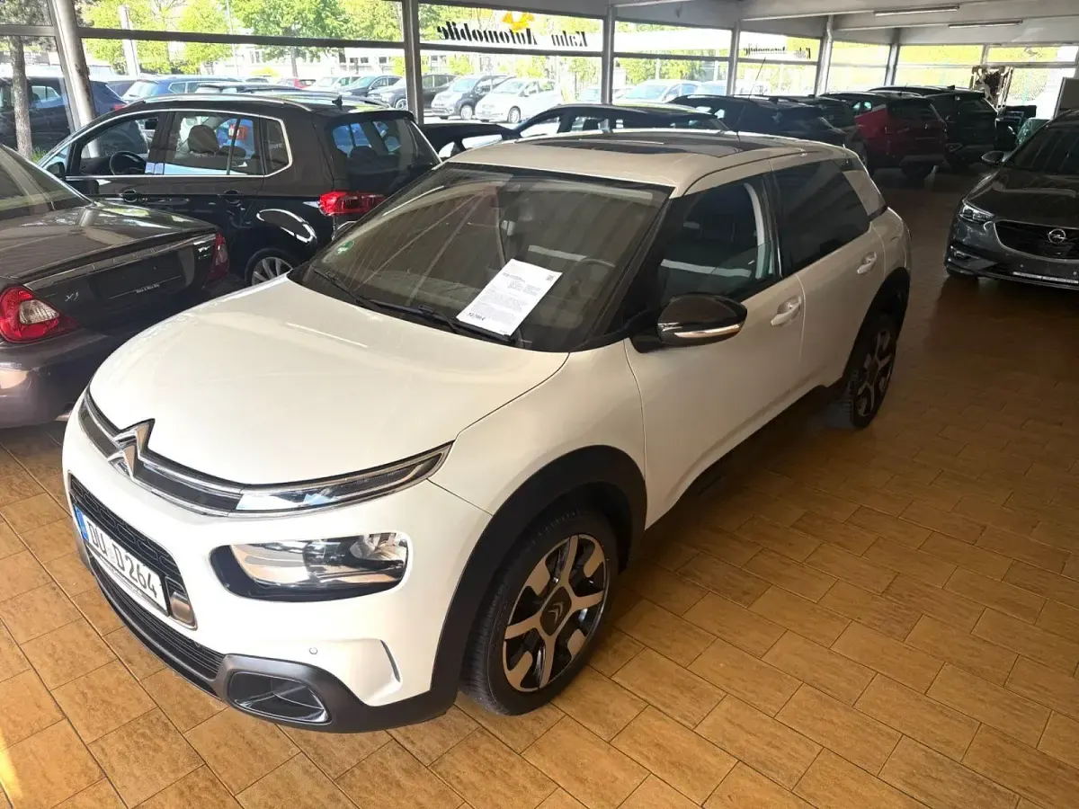 Gebraucht Citroën C4 Cactus Shine 131 PS (96 kW) 2019 Weiß Kleinwagen
