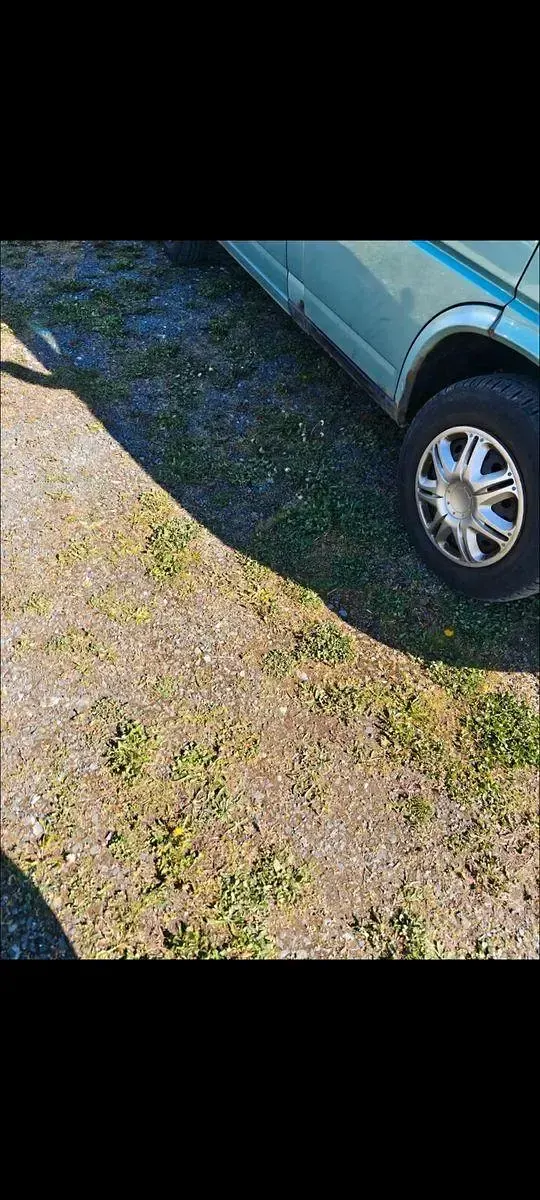 Usado VW T4 102 HP (75 kW) 1997 Verde Van
