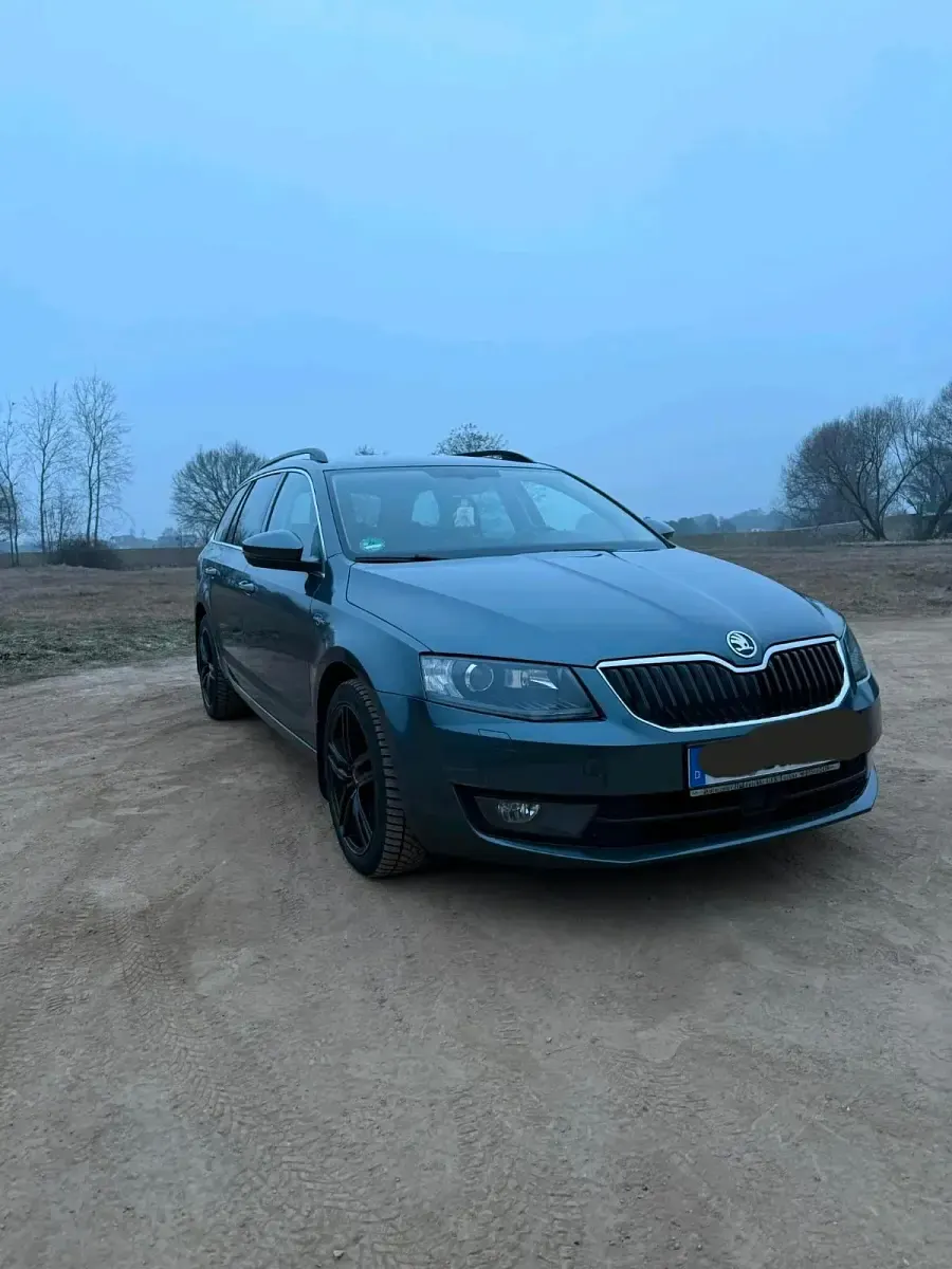 Gebraucht Skoda Octavia 179 PS (131 kW) 2017 Grau Kombi