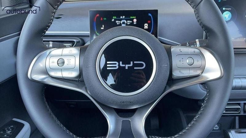 Neu BYD Dolphin Surf Boost 64 kW (88 PS) 2025 Schwarz Kleinwagen