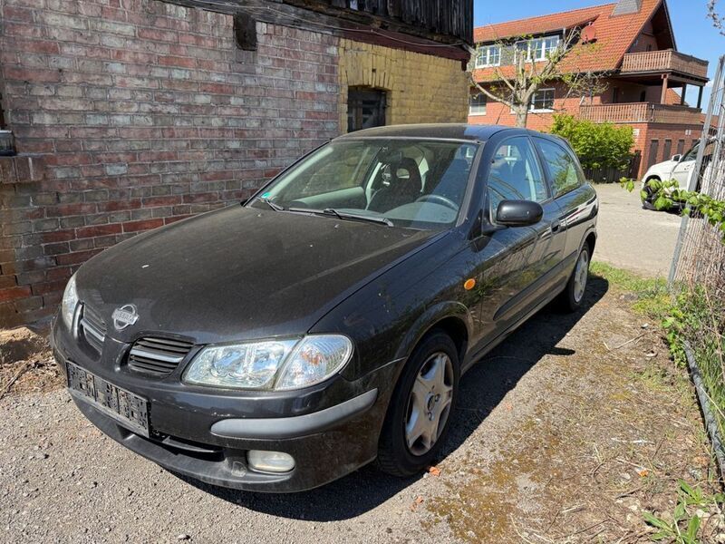 Schwarz Gebraucht 2002 Nissan Almera Limousine | 1.750 € (Etwas zu teuer) - Bild 1/4