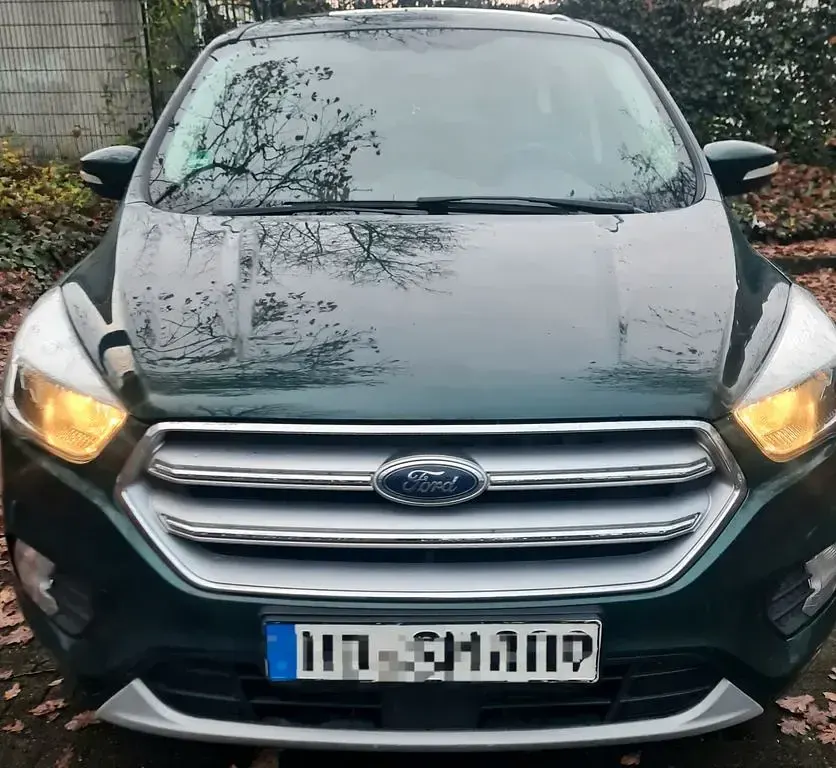 Gebraucht Ford Kuga 150 PS (110 kW) 2018 Grün SUV