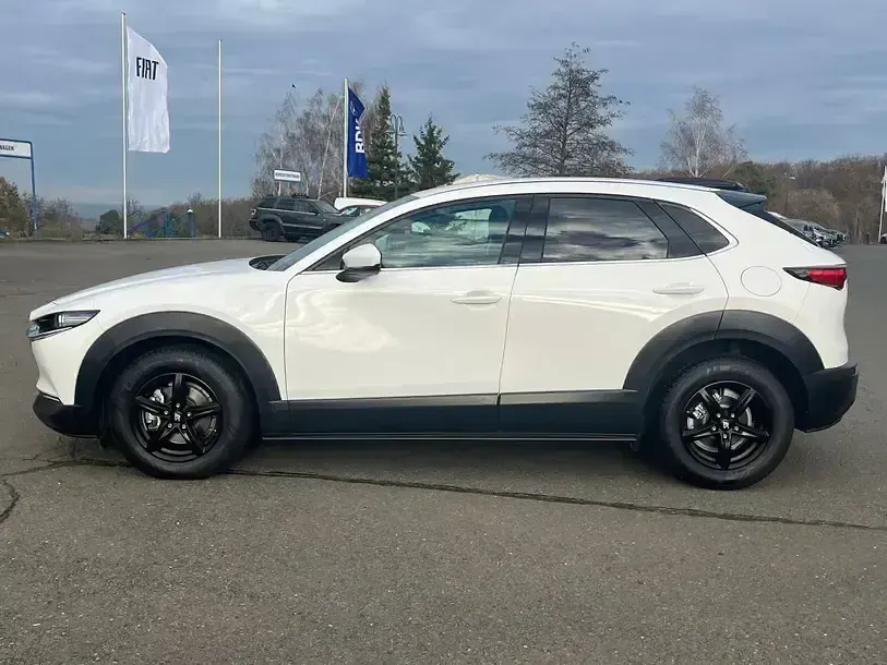 Usata Mazda CX-30 Selection 150 CV (110 kW) 2021 Bianco SUV