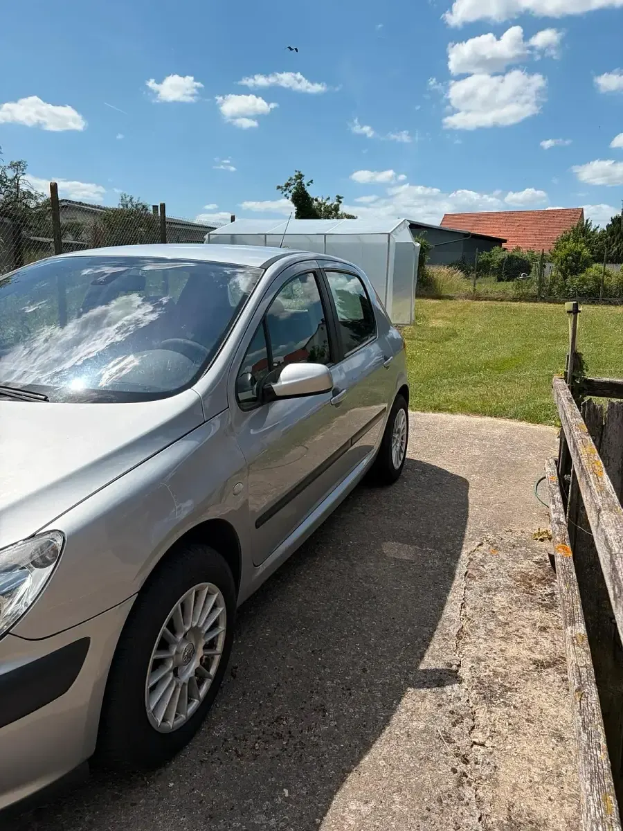 Gebraucht Peugeot 307 109 PS (80 kW) 2001 Grau Kleinwagen