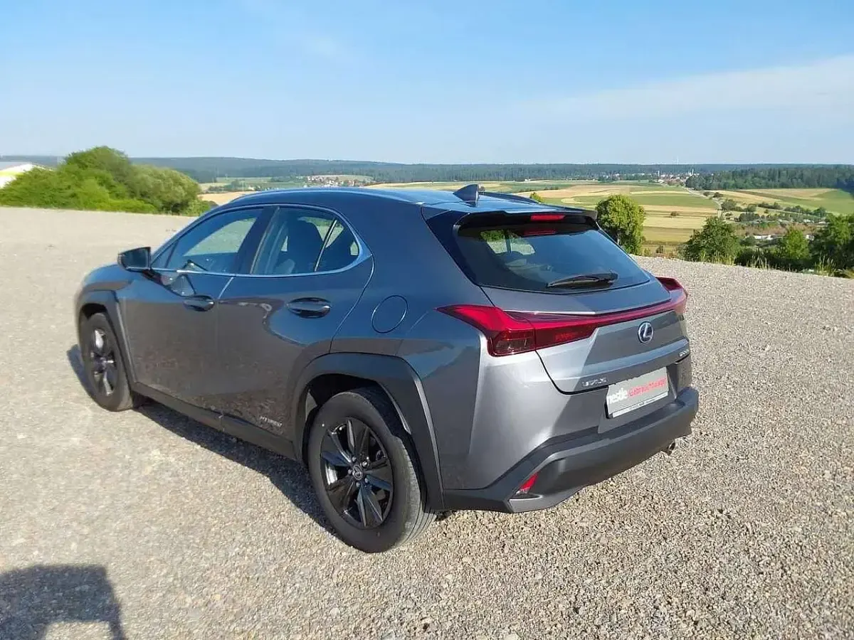 Gebraucht Lexus UX 250h Launch Edition 184 PS (135 kW) 2019 Grau SUV