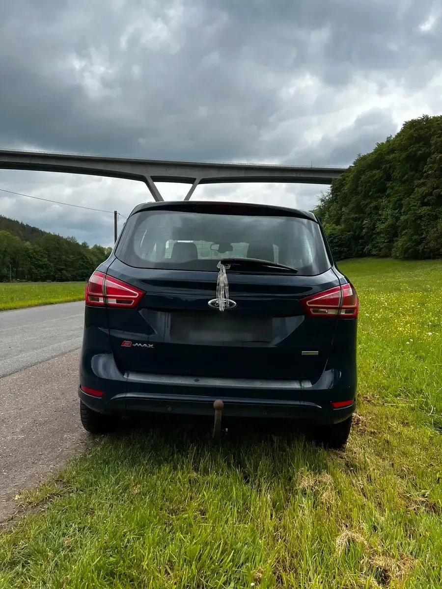 Brugt Ford B-MAX Trend 125 HK (91 kW) 2014 Blå MPV