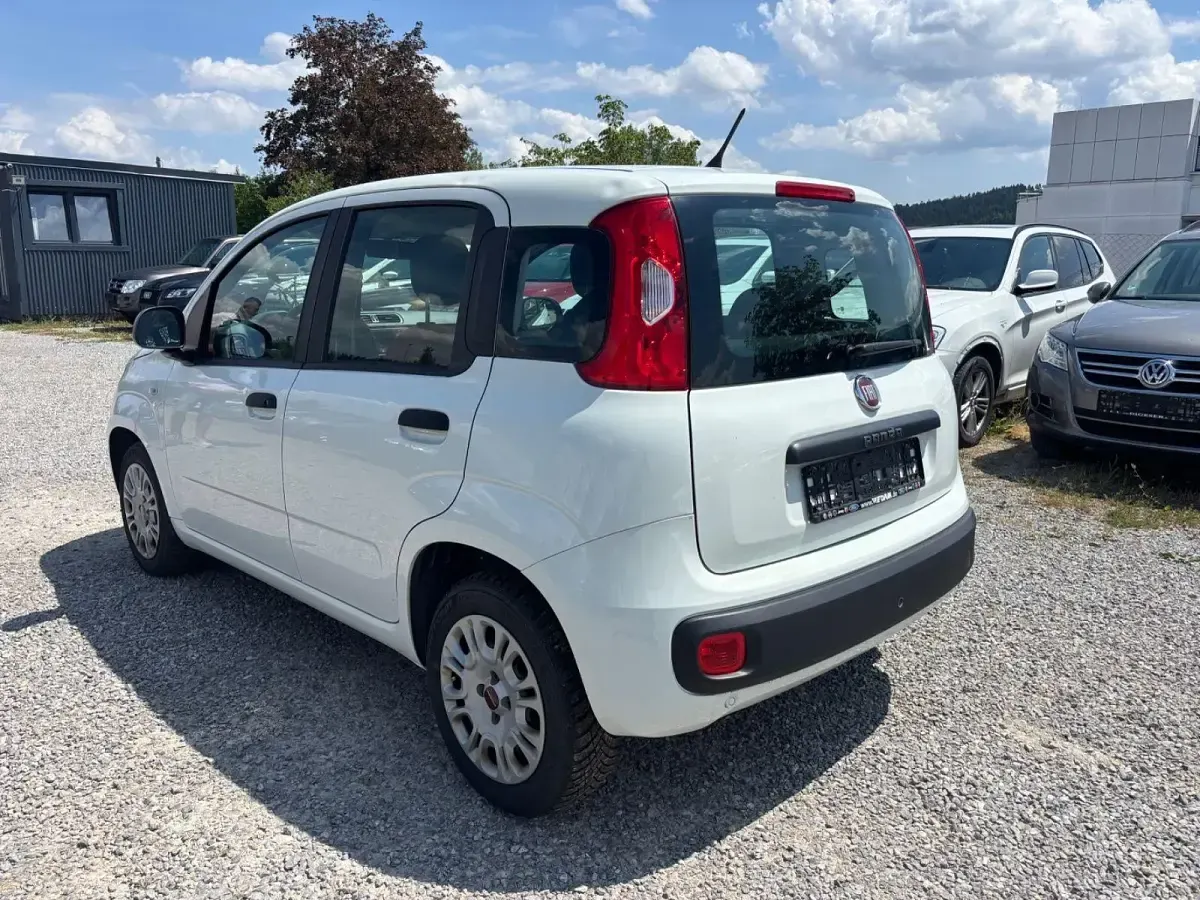 Gebraucht Fiat Panda Easy 69 PS (50 kW) 2020 Kleinwagen
