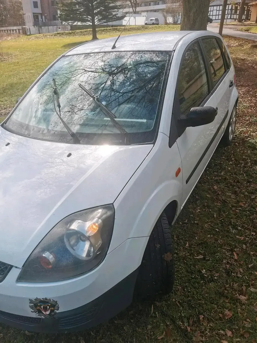 Usata Ford Fiesta 69 CV (50 kW) 2006 Bianco Utilitaria