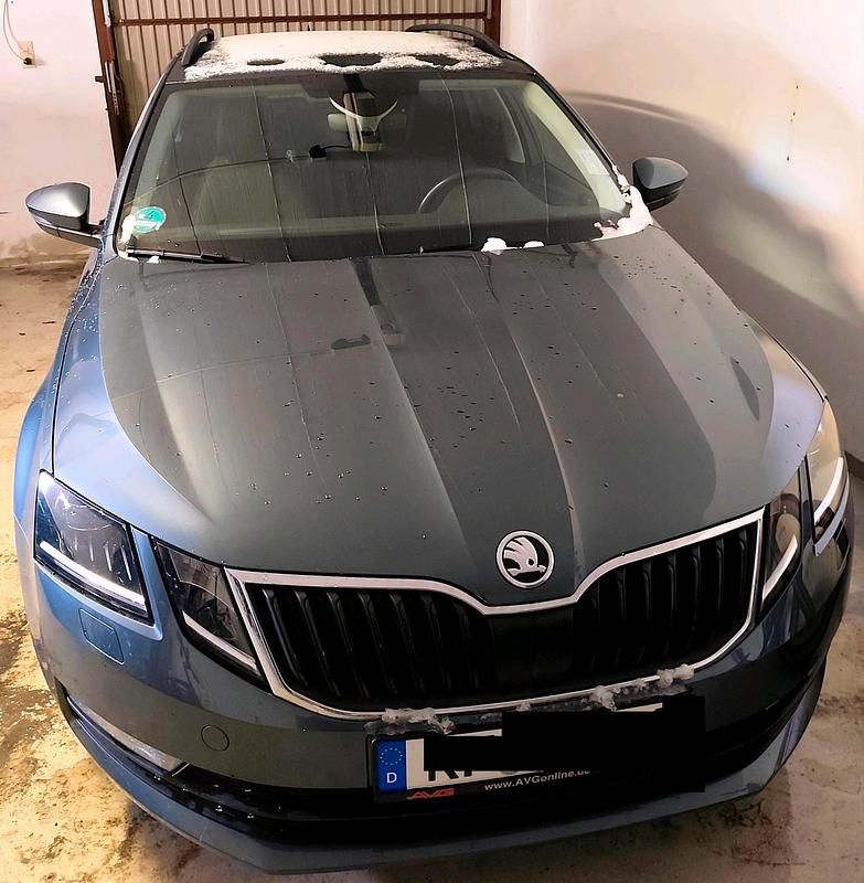 Gebraucht Skoda Octavia 190 PS (139 kW) 2019 Grau Kombi