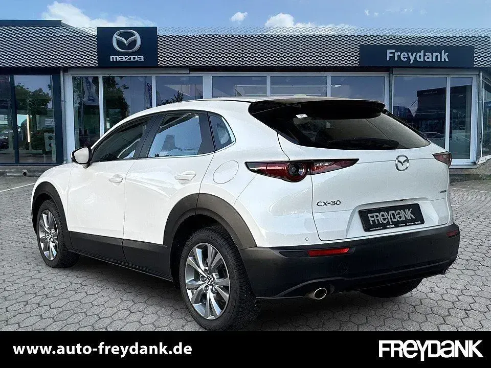Gebraucht Mazda CX-30 Exclusive-Line 122 PS (89 kW) 2024 Snowflake white pearl SUV