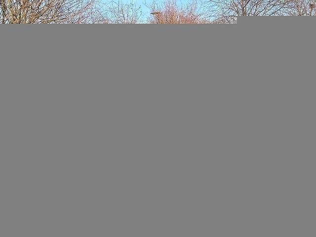 Gebraucht Ford Kuga 150 PS (110 kW) 2019 Schwarz SUV