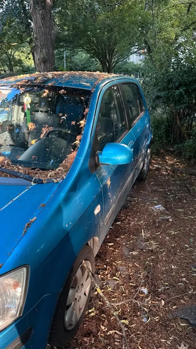 Gebraucht Hyundai Getz 85 PS (62 kW) 2003 Blau Kleinwagen