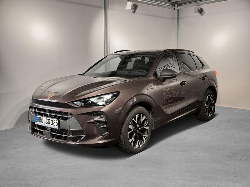 Gebraucht Cupra Terramar VZ 272 PS (200 kW) 2024 Violett SUV