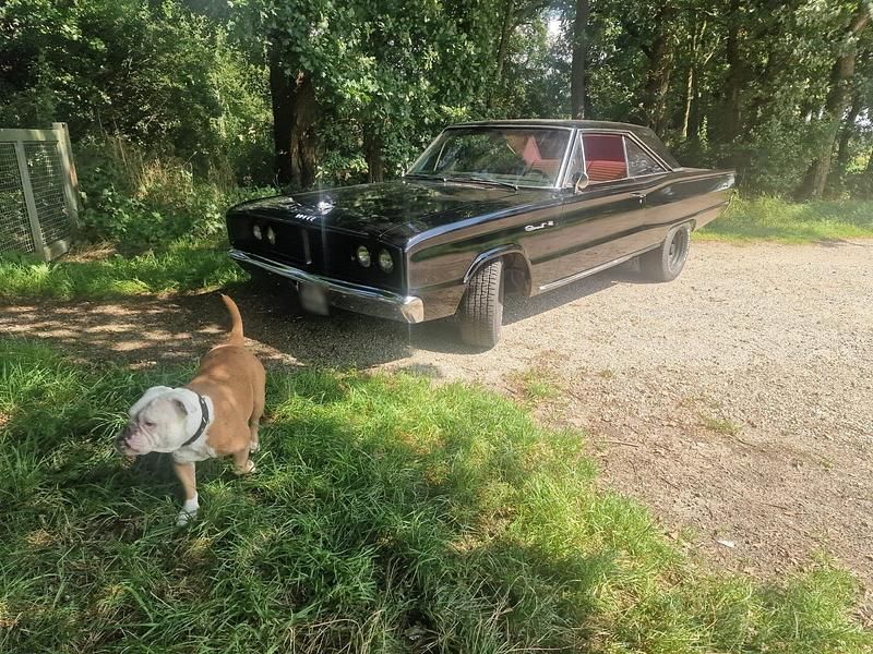 Gebraucht Dodge Coronet 230 PS (169 kW) 1966 Schwarz Coupé