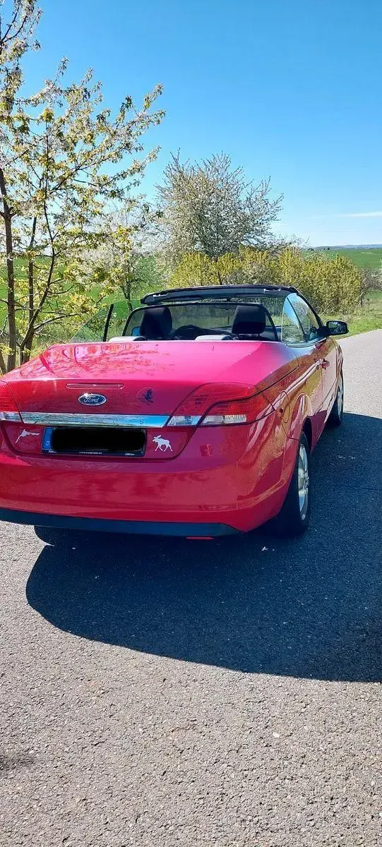 Gebraucht Ford Focus Cabriolet Trend 145 PS (106 kW) 2007 Rot Cabrio