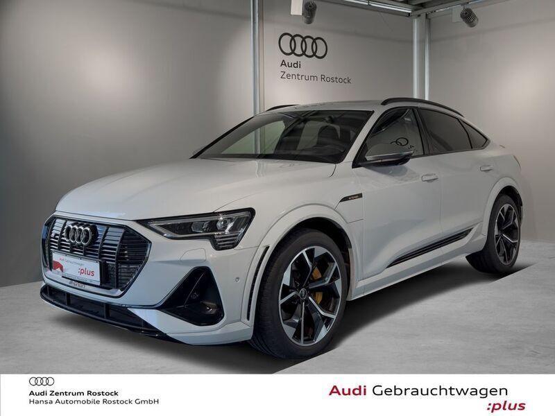 Gletscherweiß metallic Gebraucht 2021 Audi e-tron Ambiente SUV | 61.990 € - Bild 1/4