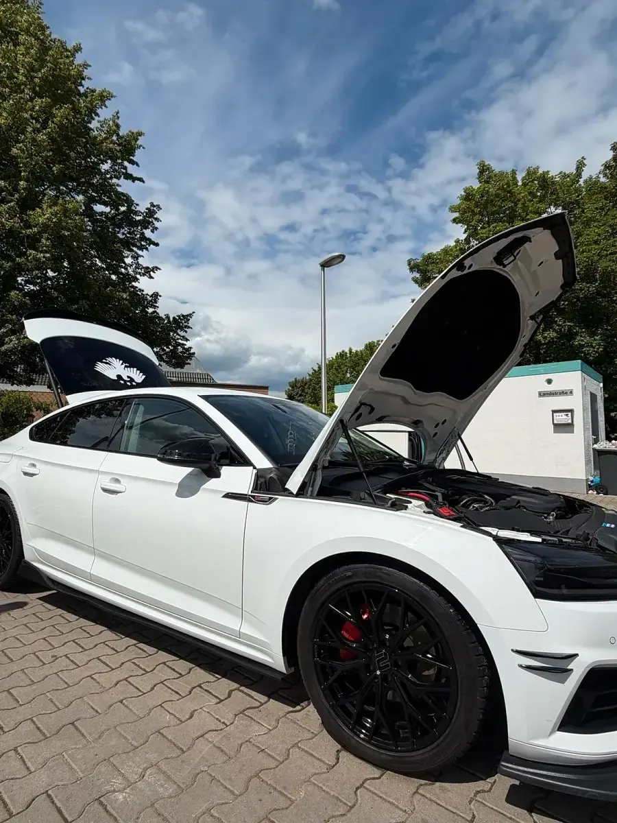 Gebraucht Audi S5 200 PS (147 kW) 2020 Weiß Coupé