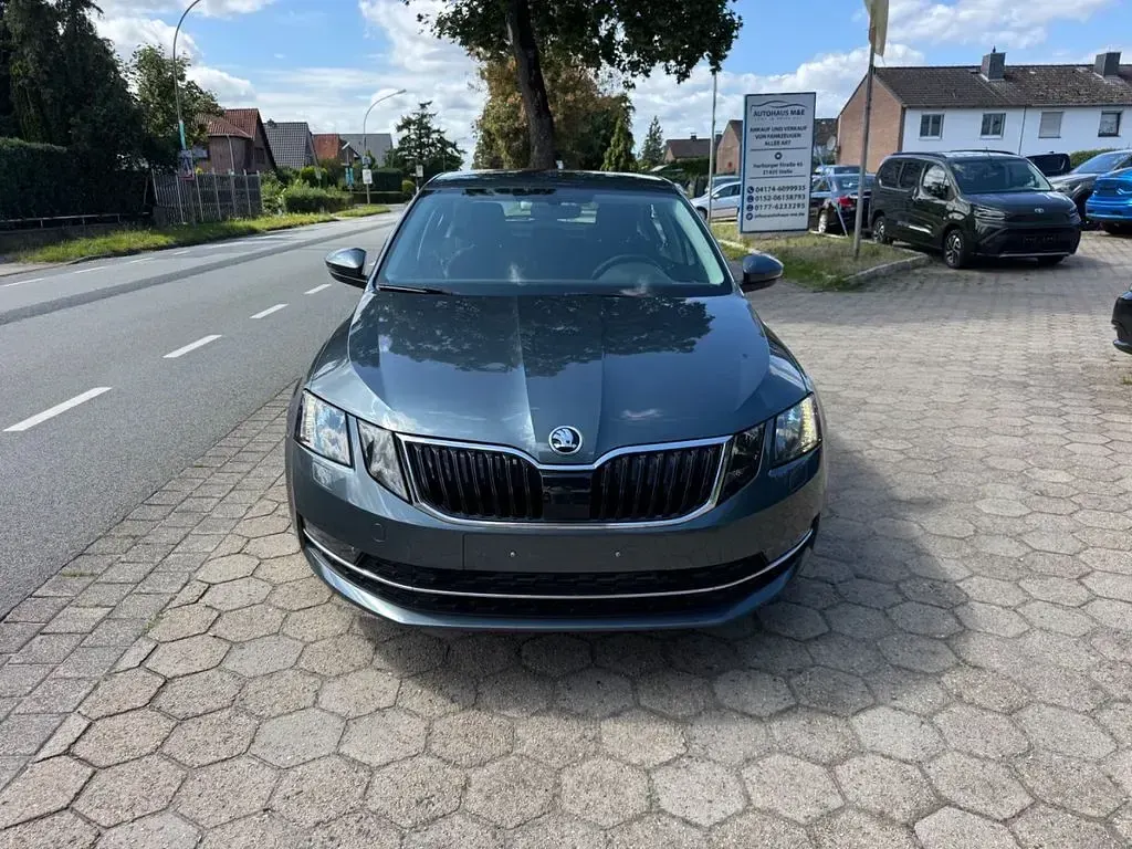 Gebraucht Skoda Octavia Style 116 PS (85 kW) 2019 Grau Limousine