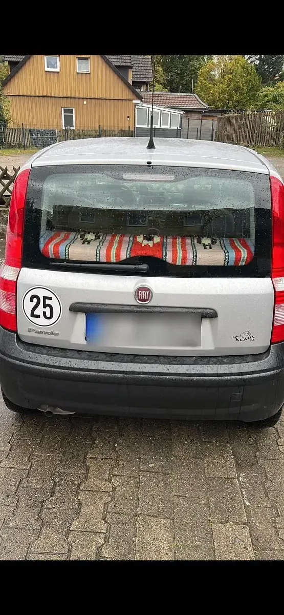 Occasion Fiat Panda 2009 Argent Citadine