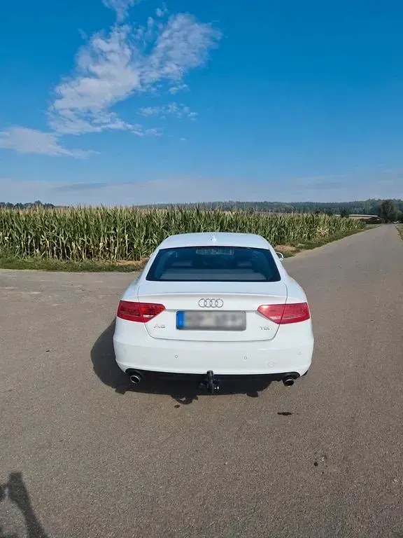 Gebraucht Audi A5 Sportback Sport 190 PS (139 kW) 2010 Weiß Kleinwagen