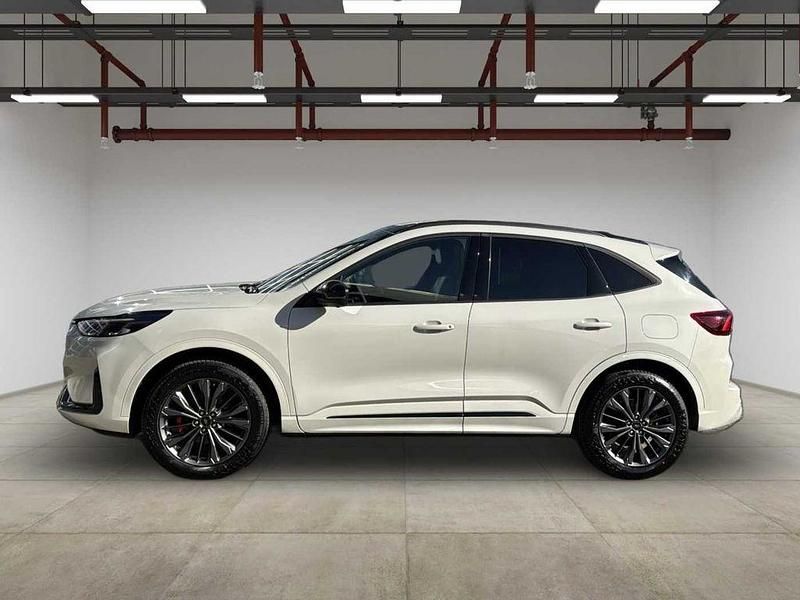 Neu Ford Kuga 242 PS (177 kW) 2026 Weiß SUV