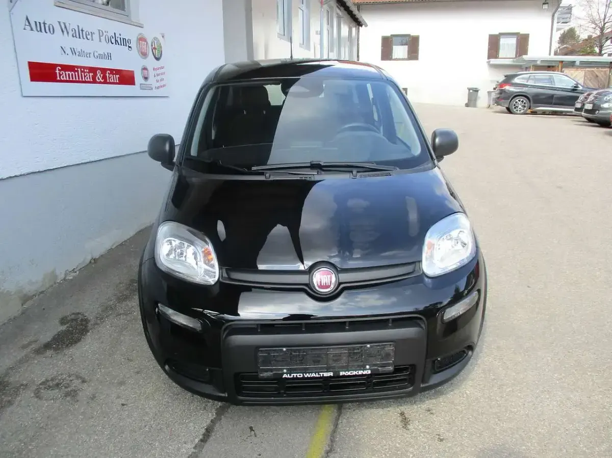 Neu Fiat Panda 69 PS (50 kW) 2025 Blau Kleinwagen