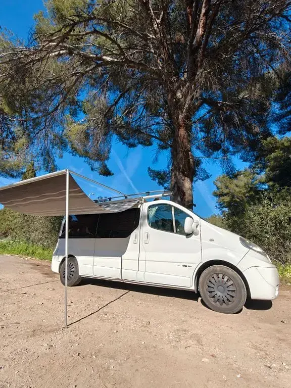 Second-hand Nissan Primastar 116 CP (85 kW) 2013 Alb Monovolum
