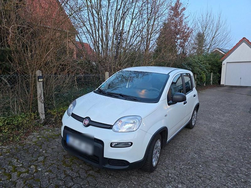 Gebraucht Fiat Panda Tech 69 PS (50 kW) 2023 Weiß Kleinwagen