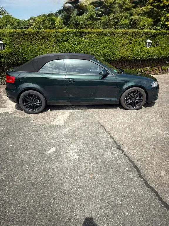 Gebraucht Audi A3 Cabriolet Ambition 140 PS (102 kW) 2009 Grün Cabrio