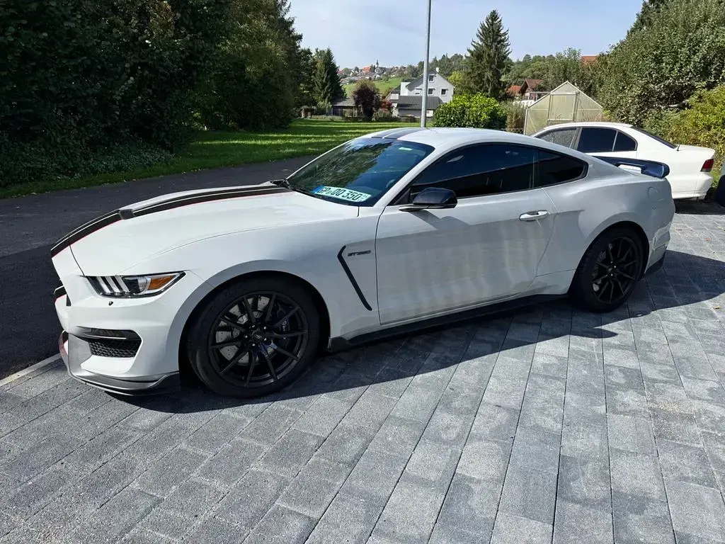 Gebraucht Ford Shelby Fastback 533 PS (392 kW) 2016 Grau Coupé