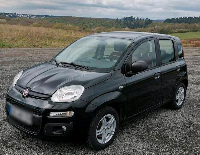 Schwarz Gebraucht 2015 Fiat Panda Kleinwagen | 4.500 € (Superpreis) - Bild 1/4