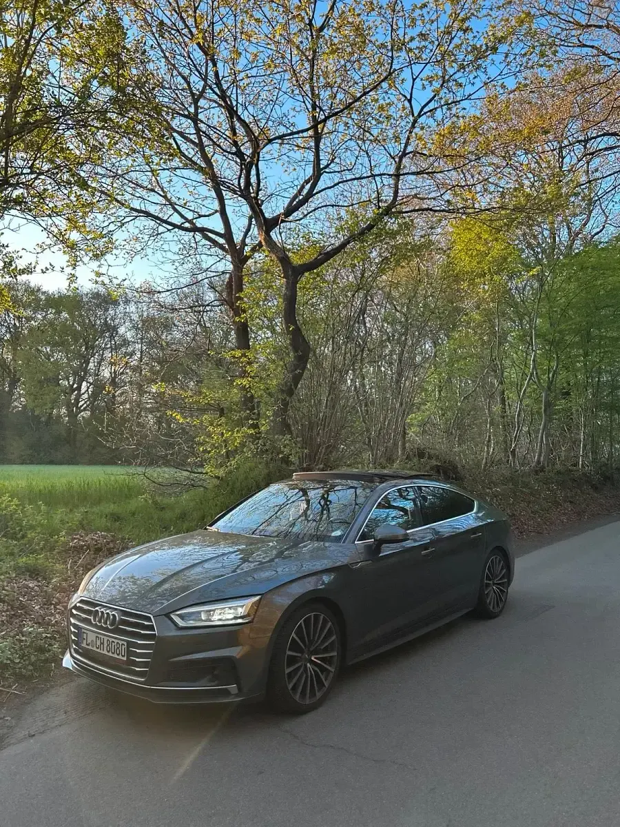 Gebraucht Audi A5 Sport 245 PS (180 kW) 2020 Grau Coupé