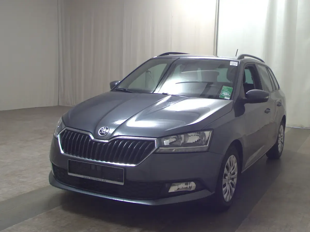 Gebraucht Skoda Fabia Ambition 95 PS (69 kW) 2021 Grau Kleinwagen