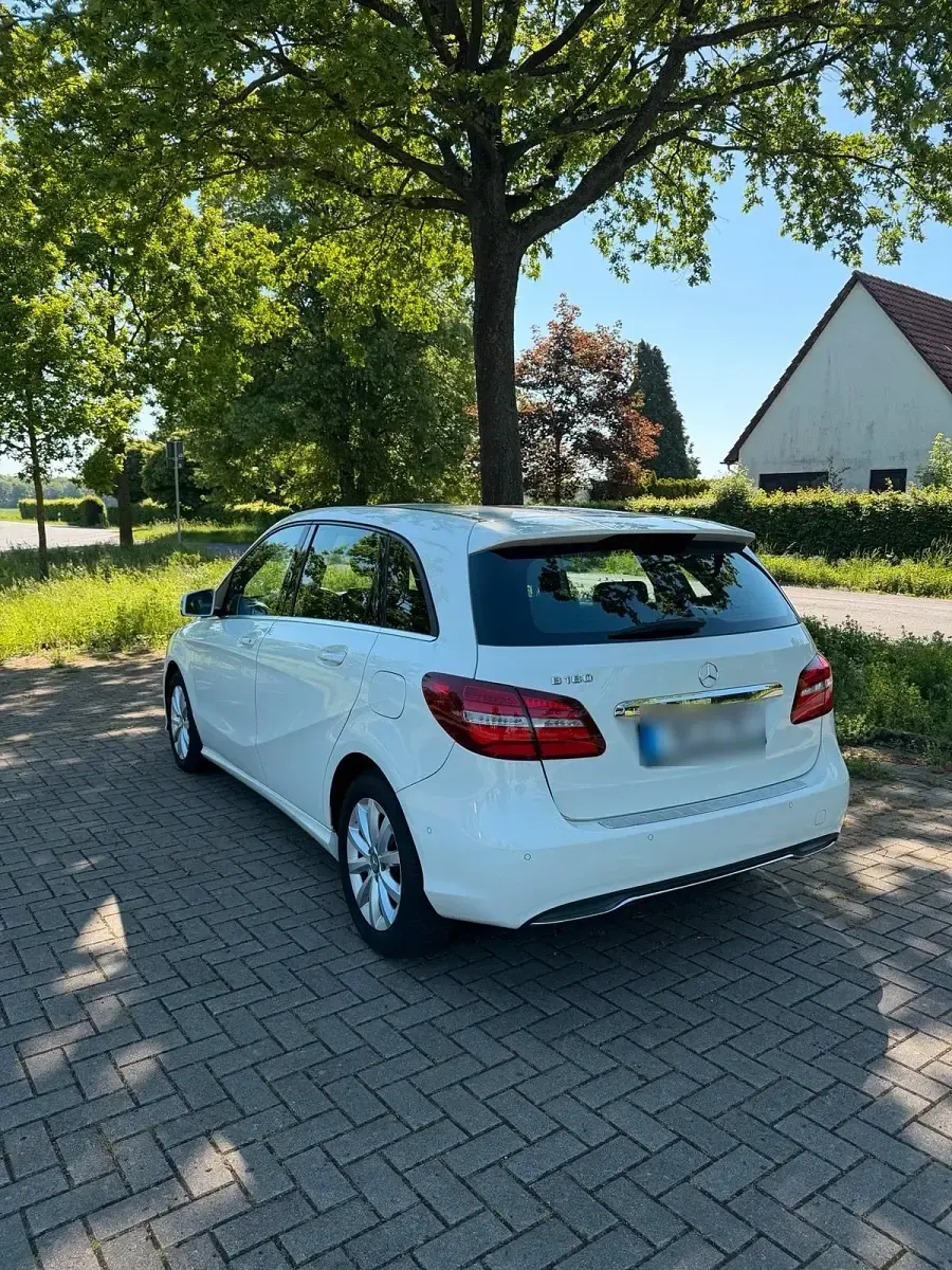 Gebraucht Mercedes B180 122 PS (89 kW) 2015 Weiß Kleinwagen